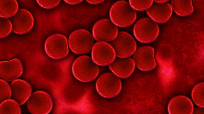gamma globuline