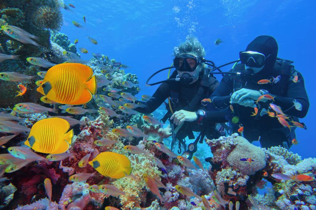 pratiquer plongée sous-marine activité sportive sport loisir sensations fortes
