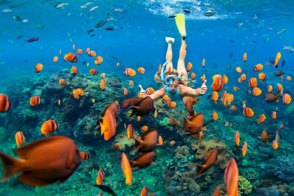 baptême nager fonds marins exploration aventure