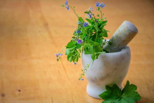 soin naturel aux plantes