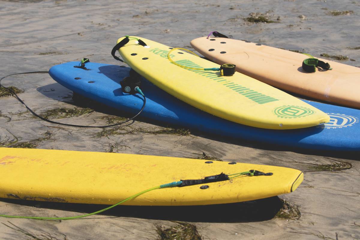 softboard débuter surf